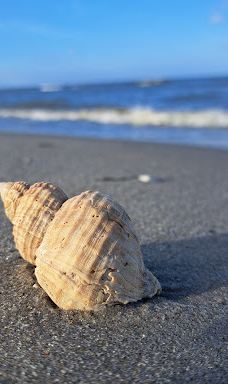 Lyngså Strand-赛比