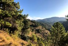 Vereda de Los Volaeros景点图片