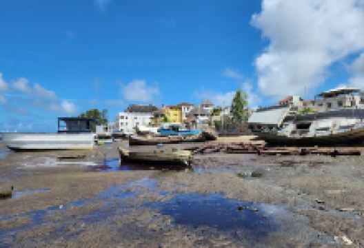 The Donkey Sanctuary景点图片