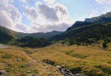 Magarusii prietenosi de pe Transfagarasan景点图片