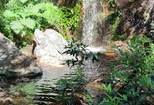 Cachoeira do Coxo景点图片