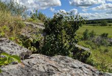 Gneiss Outcrops Scientific and Natural Area景点图片
