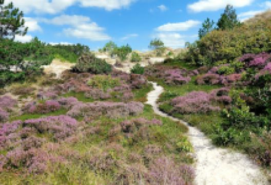 Camping Eldorado景点图片