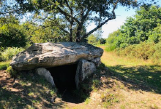 Dolmen de Kerlutu景点图片