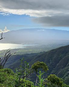West Maui Forest Reserve-茂宜县