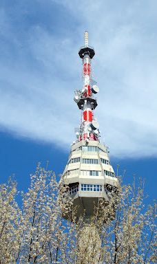 Dobrich television tower-多布里奇