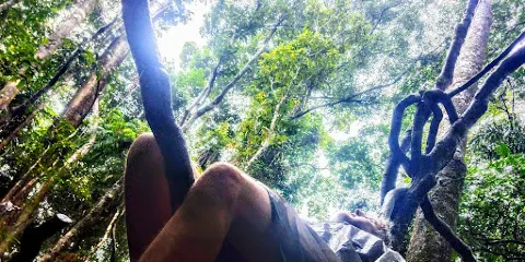 金達巴木棧步道