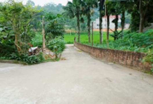 Nhà Văn Hóa Khu 14景点图片