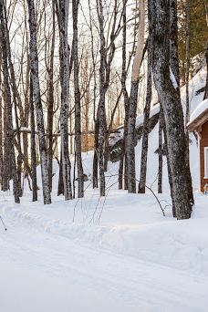 Club Sportif les Appalaches-利莱