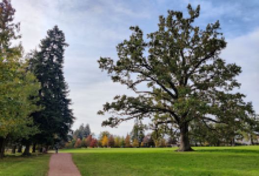 Parc fraisse景点图片