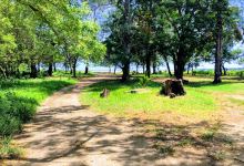 Pangani Coast Cultural Tourism景点图片