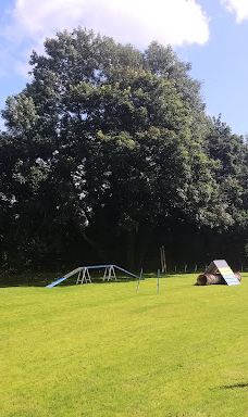 Off Lead Agility-斯特拉班