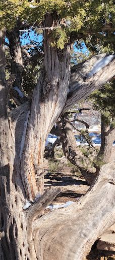 Pipe Creek Vista-大峡谷村