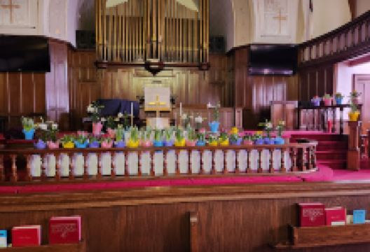 Romeo United Methodist Church景点图片