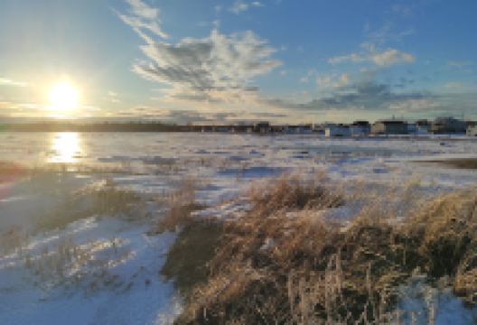 Parc Maisonnette景点图片