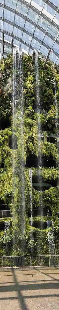 云雾林-新加坡-YoYo_2Z6R7X2Q