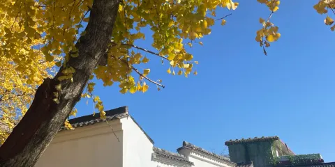 趙醒儂革命事迹展示館