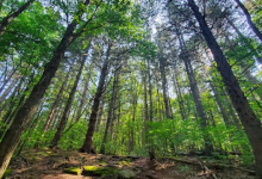 Windham High Peak景点图片