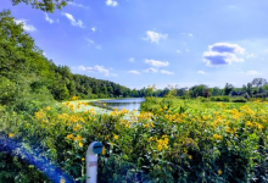 Dead Timber State Recreation Area景点图片