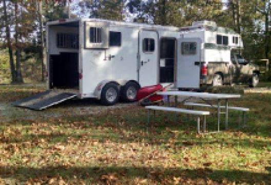 Come Again Horse Camp景点图片