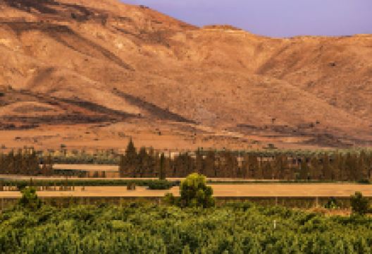 Room to the memory of those who fell景点图片
