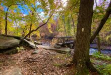 Stepstone Falls Waterfall and Hiking Paths - Part of Arcadia Management Area景点图片