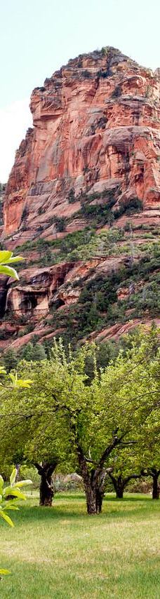 滑石州立公园-科科尼诺县