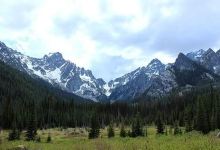 韦纳奇国家森林景点图片