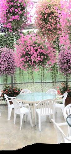 Glacier Gardens Rainforest Adventure-朱诺