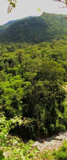 Amboro National Park-圣克鲁斯