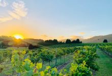 Crooked River Winery & Cellar Door景点图片