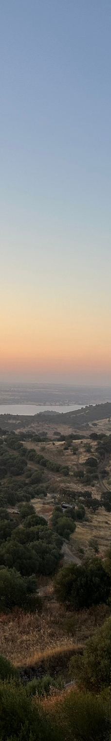 Monsaraz Castle-蒙萨拉什