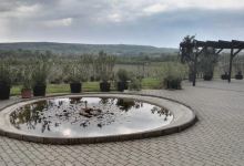 Lics Winery景点图片