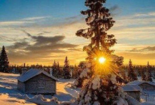 Maardu Manor景点图片