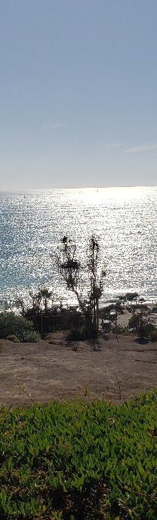 Pines Park-达纳点