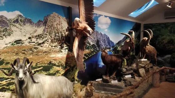 European Bison Reservation