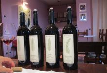 Bruno Rocca vineyard景点图片