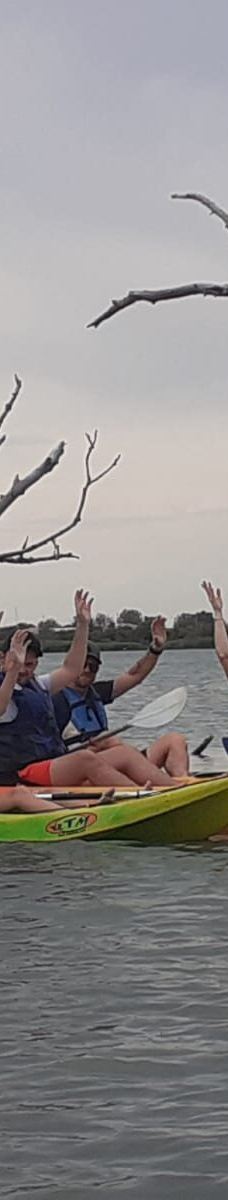 Domaine de la Palissade-阿尔勒