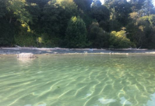 Arbutus Cove Park景点图片