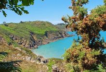 Plage Bonaparte景点图片
