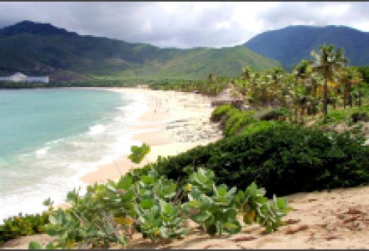 Playa Puerto Cruz景点图片