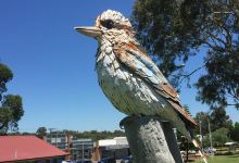 Big Kookaburra景点图片
