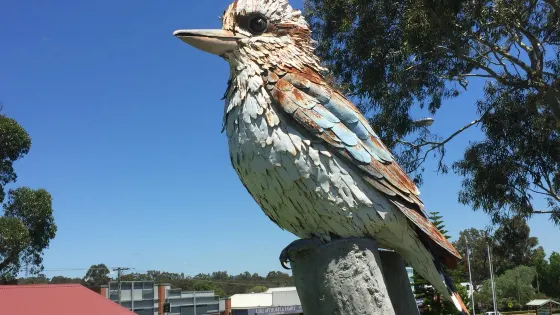 Big Kookaburra