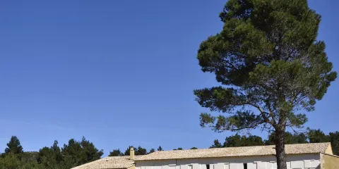 Abbaye Sainte Marie de Pierredon