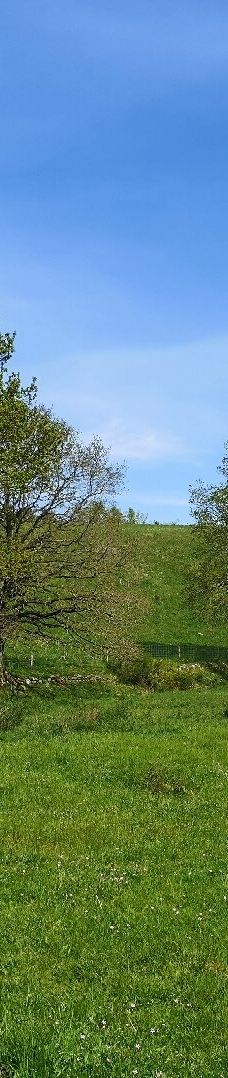 Svanninge Bakker-福堡