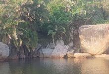 Munster Beach景点图片