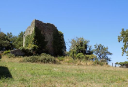 Torre de Santa María de Torán景点图片