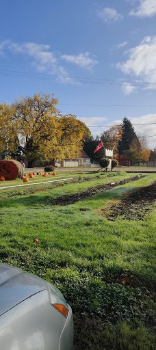 Davis Family Farm-本顿县