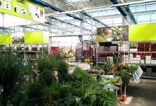 Aebi Kaderli Garden Center AG购物图片