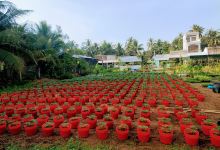 Vườn kiểng Thiên Mộc景点图片